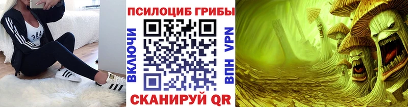 Псилоцибиновые грибы Psilocybe Чердынь